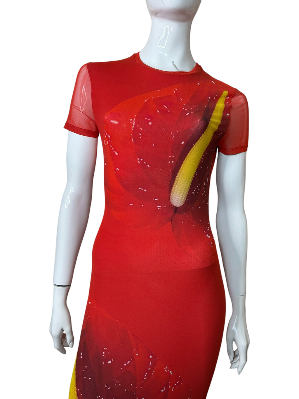 Loewe abito lungo con stampa — foto 2